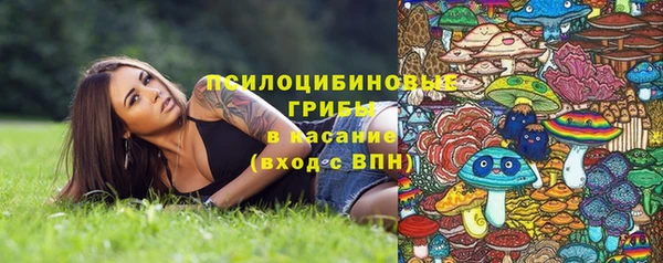 стафф Алзамай