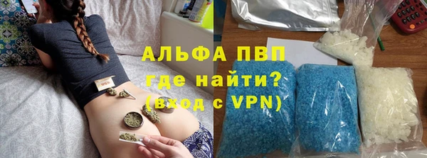 стафф Алзамай