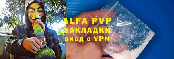 стафф Алзамай