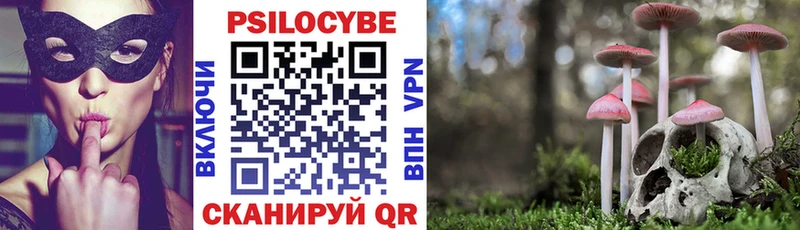 как найти наркотики  гидра вход  Галлюциногенные грибы прущие грибы  Черемхово 