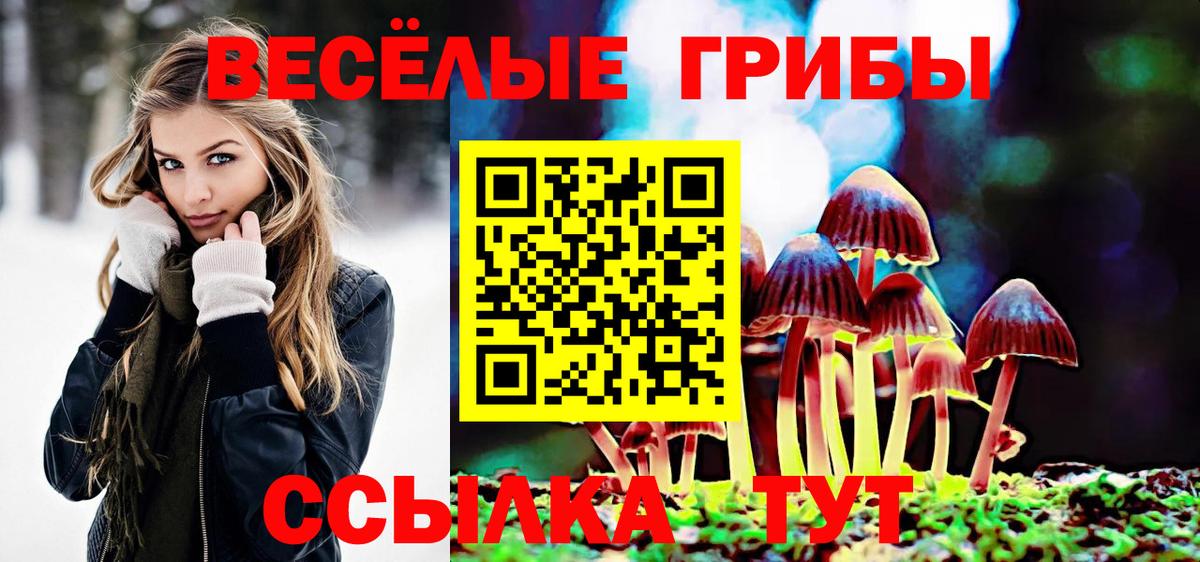 купить наркоту  Вход с VPN  Черемхово  Псилоцибиновые грибы Psilocybe 